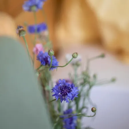 Huber Apart Otel Merano